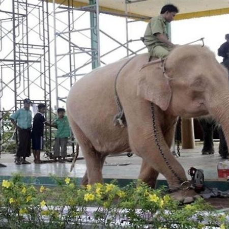 スター ワールド ホテル Naypyidaw エクステリア 写真