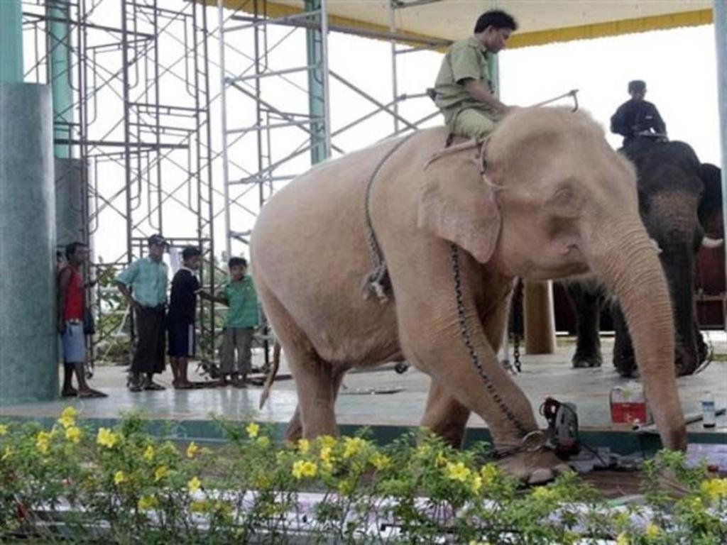 スター ワールド ホテル Naypyidaw エクステリア 写真